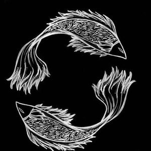 Meet your Posher, Aaliyah